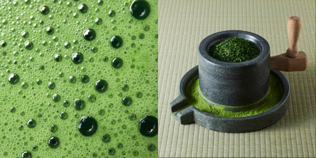 Matcha ve Sağlık: Bilişsel Performans, Antioksidan Gücü ve Metabolik Etkiler Üzerine Bilimsel Kanıtlar